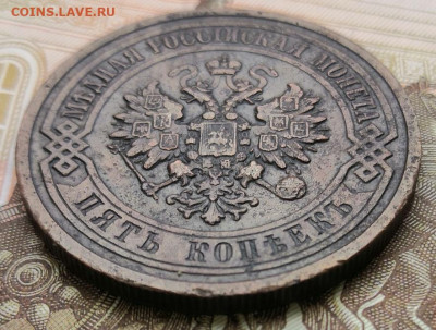 5 копеек 1911 года до 02.12.2019 года в 22-00 мск - IMG_20191126_141548
