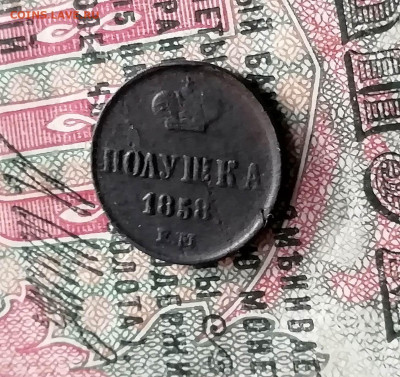 полушка 2шт. и денежка 1856г.1858г.1860г. - IMG_20191126_140254