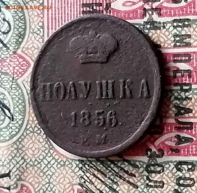 полушка 2шт. и денежка 1856г.1858г.1860г. - IMG_20191126_140138
