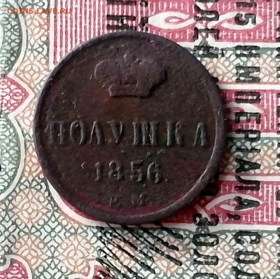 полушка 2шт. и денежка 1856г.1858г.1860г. - IMG_20191126_140123