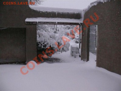А тем временем в Южной Африке ... - Sneew 25 Jul 2011 00129