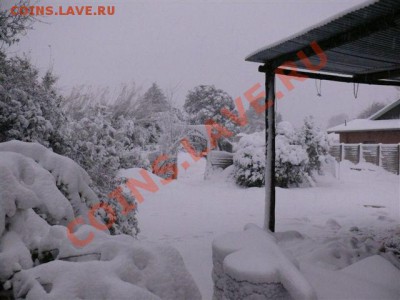 А тем временем в Южной Африке ... - Sneew 25 Jul 2011 00230
