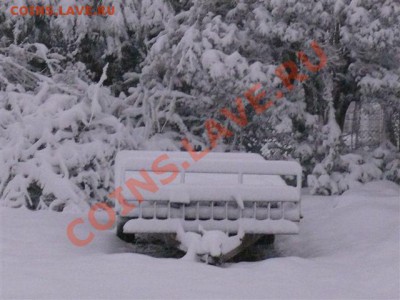 А тем временем в Южной Африке ... - Sneew 25 Jul 2011 00533