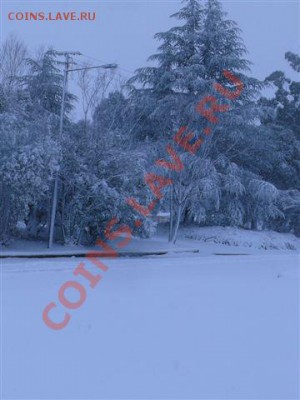 А тем временем в Южной Африке ... - Sneew 25 Jul 2011 0591