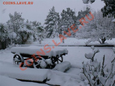 А тем временем в Южной Африке ... - Sneew 25 Jul 2011 08323