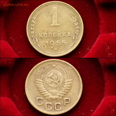 1 копейка 1955 год. Хорошая. До 03.12 - IMG_20191124_224152