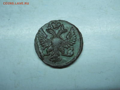денга 1749 до 30.11.2019 в 22-00 по мск. - DSCN4186.JPG