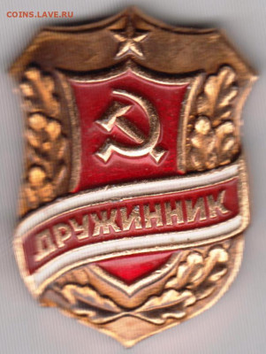 Знак ДРУЖИННИК (без цены) до 05.12.19 г. в 23.00 - 010