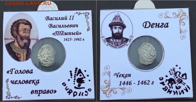 Тёмный. голова вправо. - гол. тём