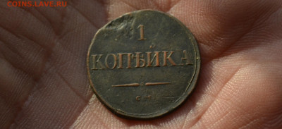 1 копейка 1831 см - DSC_0288