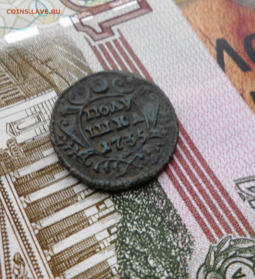 Полушка 1735 года - новая папка 4 14524