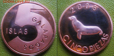Галапагосские острова 5 пиеза 2008 г До 02-12 в 22-00 мск - галапаг