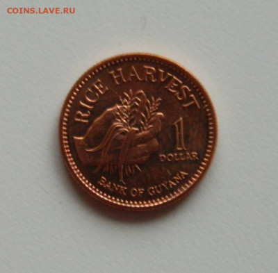 Гайана 1 доллар 2002 г. (без обращения). до 05.12.19 - DSCN9970.JPG