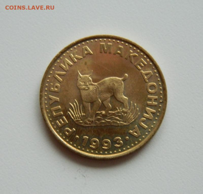 Македония 5 денаров 1993 г. (Фауна). до 05.12.19 - DSCN9927.JPG