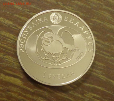 БЕЛАРУСЬ - 1 р 2009 ПТИЦА ГОДА Серый гусь до 6.12, 22.00 - Беларусь 1 р Птица года Серый гусь_2