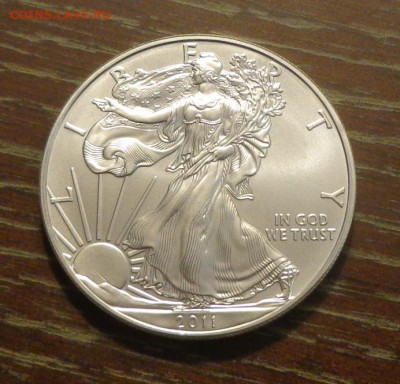 США - Шагающая Свобода 2011 до 6.12, 22.00 - США Шагающая Свобода 2011_1.JPG
