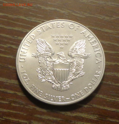 США - Шагающая Свобода 2011 до 6.12, 22.00 - США Шагающая Свобода 2011_2.JPG