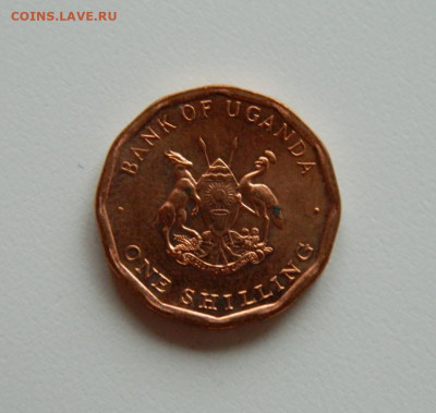Уганда 1 шиллинг 1987 г. (без обращения). до 05.12.19 - DSCN9949.JPG