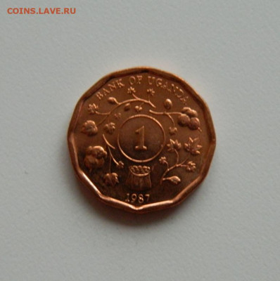 Уганда 1 шиллинг 1987 г. (без обращения). до 05.12.19 - DSCN9951.JPG