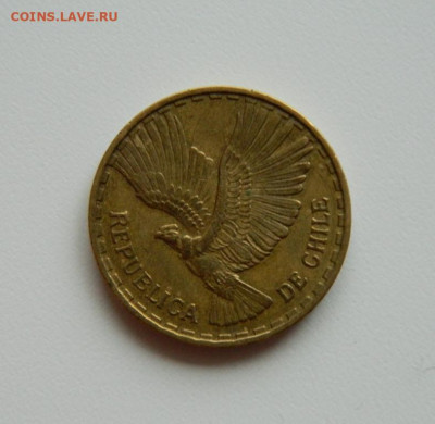 Чили 10 сентесимо 1963 г. (Кондор). до 05.12.19 - DSCN9877.JPG