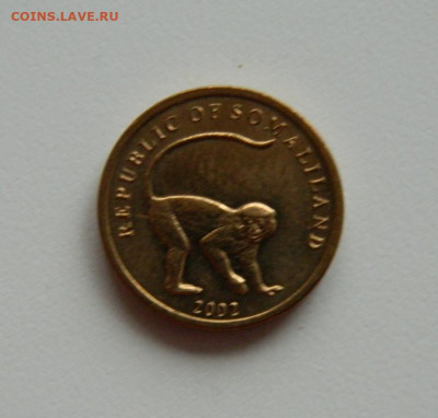 Сомалиленд 10 шиллингов 2002 г. (Фауна). до 05.12.19 - DSCN9956.JPG