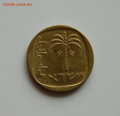 Израиль 10 агорот 1976 г. до 05.12.19 - DSCN9905.JPG