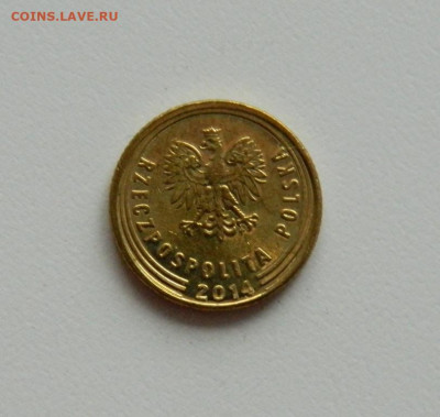 Польша 1 грош 2014 г. до 05.12.19 - DSCN9953.JPG
