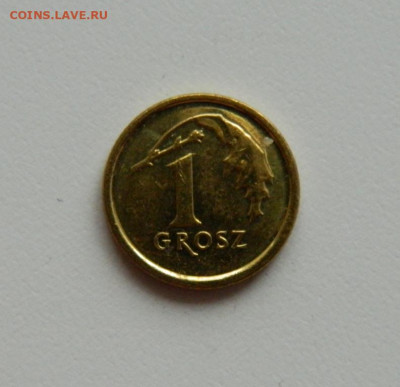 Польша 1 грош 2014 г. до 05.12.19 - DSCN9952.JPG