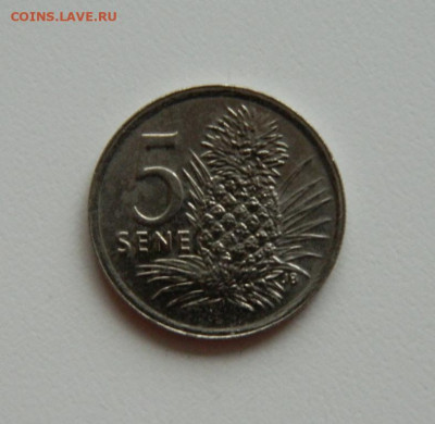 Самоа 5 сене 2000 г. (без обращения) до 05.12.19 - DSCN9954.JPG
