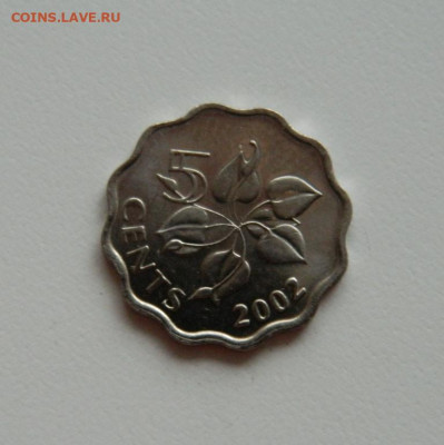 Свазиленд 5 центов 2002 г. (без обращения). до 05.12.19 - DSCN9959.JPG