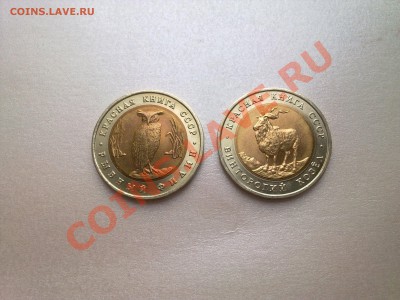 КРАСНАЯ КНИГА - 1991 год - Фото912