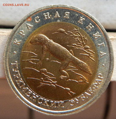 КК 1993г. 50р. Зублефар - DSCN2875.JPG