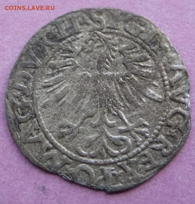 полугроши  1560,1562гг 5.12.19г.22.00 - DSCF5756.JPG