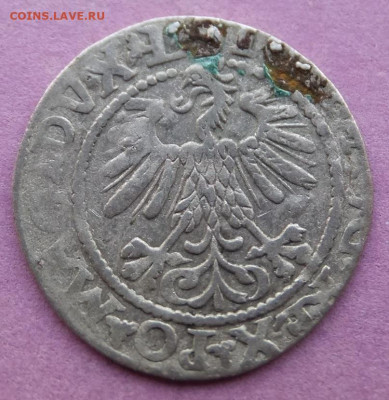 полугроши  1560,1562гг 5.12.19г.22.00 - DSCF5748.JPG