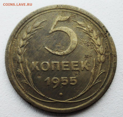 5 копеек 1955 г. до 08.12 в 22:00 - DSCN4962.JPG