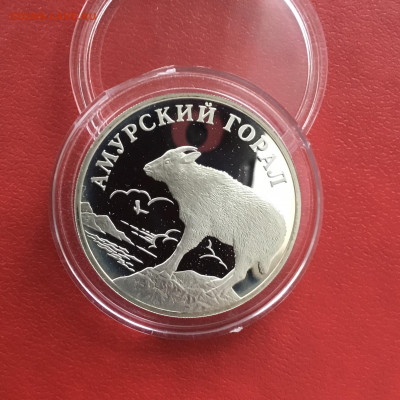 1 рубль 2002 года  Амурский горал.До 09.12.19 в 22-00 МСК - 111C4C33-90B8-488C-A26E-AE8D2B2D446F