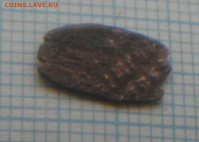 чешуйки на определение - IMGP3355.JPG