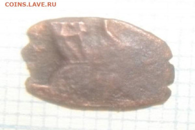 чешуйки на определение - IMGP3345.JPG