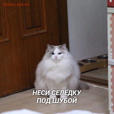 делает - прямо сейчас !!! - D5vXGhnNgSI