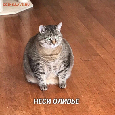 делает - прямо сейчас !!! - 69VWLxySWls