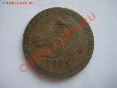 №5 - IMG_5657.JPG