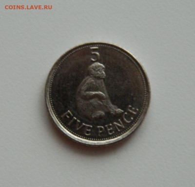 Гибралтар 5 пенсов 2012 г. (Фауна). до 10.12.2019 - DSCN9925.JPG