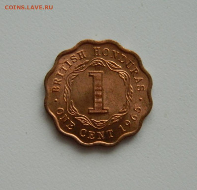 Британский Гондурас 1 цент 1965 г. (без обращения)до 10.12 - DSCN9888.JPG
