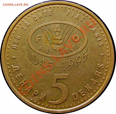 B83 Македония 5 денаров 1995 F.A.O. (рысь) до 11.08 в 22°° - B83 Macedonia 5 denar 1995 FAO_1