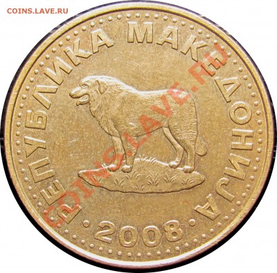 B85 Македония 1 денар 2008 (собака) до 11.08 в 22°° - B85 Macedonia 1 denar 2008_2