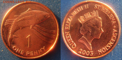 Остров Святой Елены 1 пенни 2003 г До 09-12 в 22-00 мск - св Елена 1 п