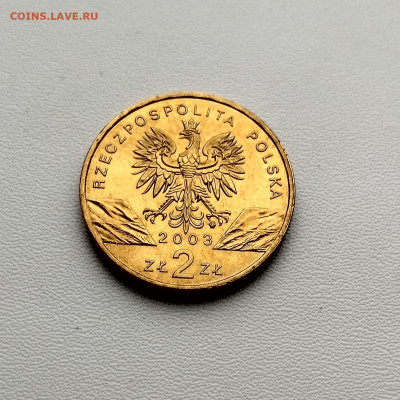 ПОЛЬША,2 злотых 2003г(Европейский угорь)до 10.12.2019г - IMG_20191130_133343_HDR