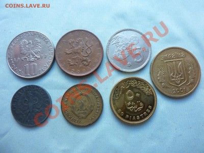 Конкурс «Veni Vedi Vici» - MEMO0028.JPG