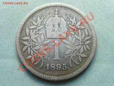 Серебро АВСТРО-ВЕНГРИЯ 1 корона 1895г. до 10.08.11 в 22-00 - MEMO0024.JPG