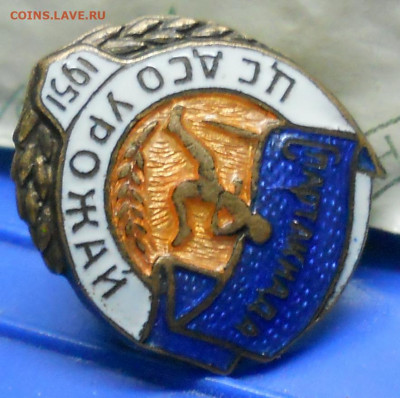 Знак «Спартакиада ЦС ДСО «Урожай». 1951 г. оценка - DSCN0047.JPG